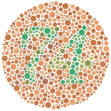 are you color blind test hard|ishihara color blindness test.